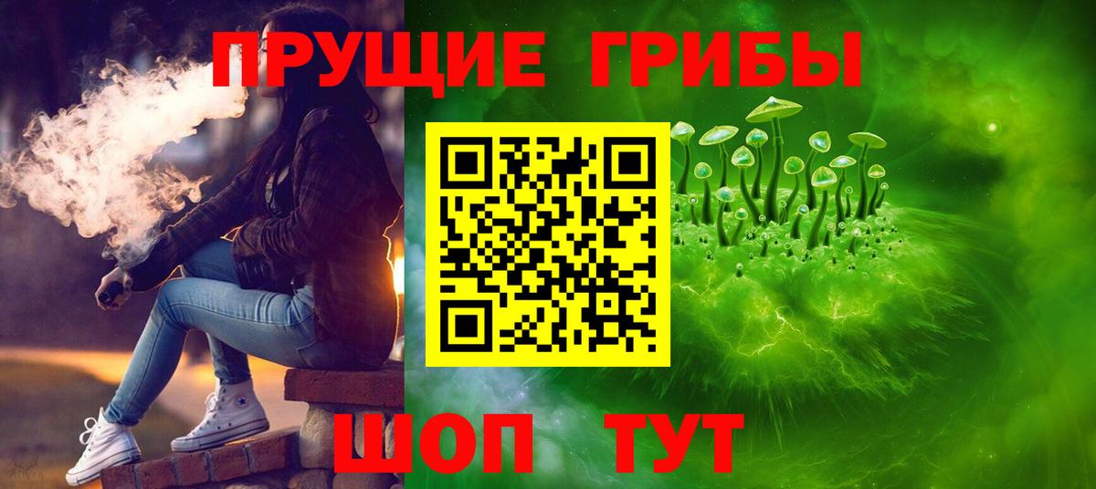 как найти   Галлюциногенные грибы Psilocybe  Минеральные Воды  Вход с VPN  Галлюциногенные грибы Psilocybe 